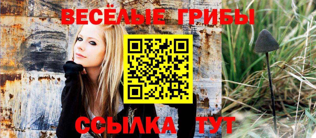 Лесной  Галлюциногенные грибы мухоморы  купить наркотик  Вход с VPN  Галлюциногенные грибы Psilocybine cubensis 