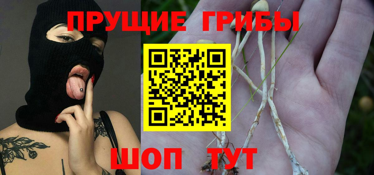  COCAIN Лесной