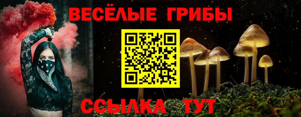 Псилоцибиновые грибы MAGIC MUSHROOMS Лесной