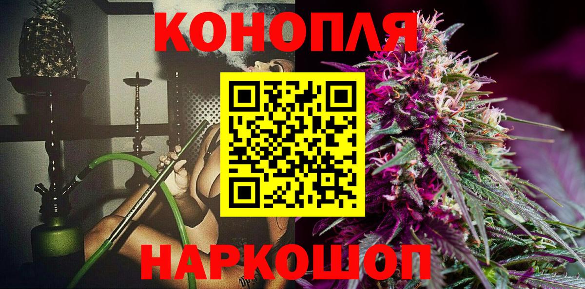 Лесной  Канабис планчик  Вход с VPN  Шишки марихуана план  Конопля индика 